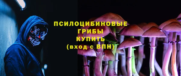 крисы Алексеевка