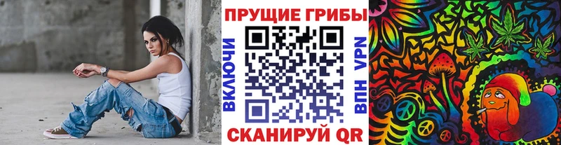 как найти наркотики  Апшеронск  MEGA как войти  Галлюциногенные грибы Psilocybine cubensis 